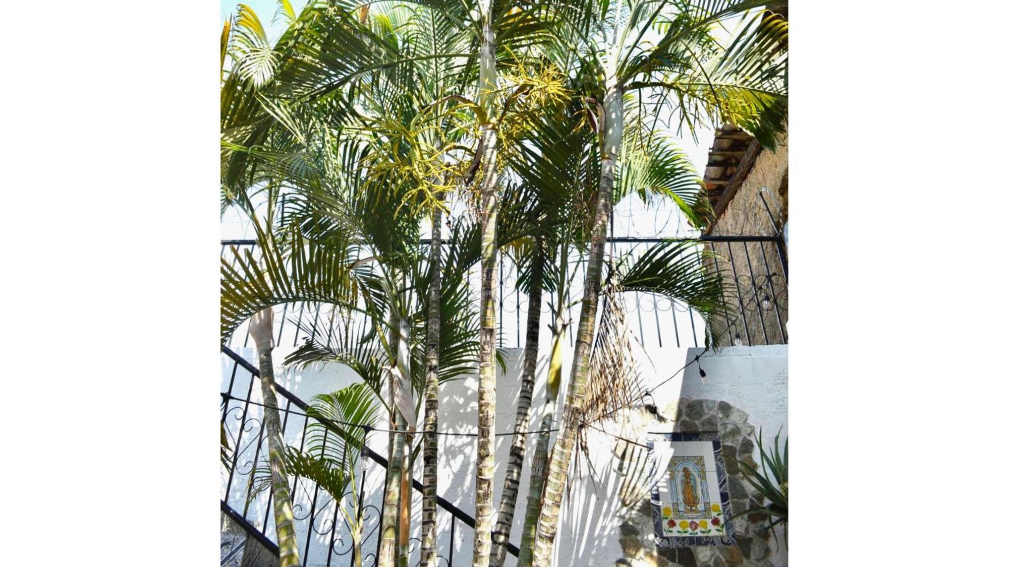 Casa Coco Hostel Санта-Ана Екстер'єр фото